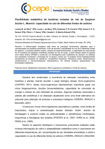 Flexibilidade metabólica de bactérias isoladas de raiz de Sorghum