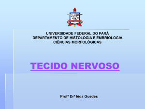 tecido nervoso - Universidade Federal do Pará