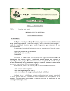 Melhoramento genético: seleção massal e individual