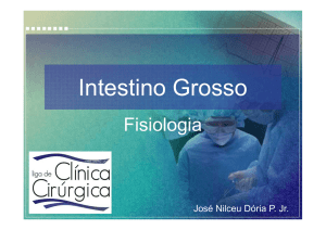 Fisiologia do Intestino Grosso LCC