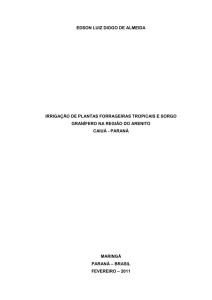 Irrigação de plantas forrageiras tropicais e sorgo granífero na