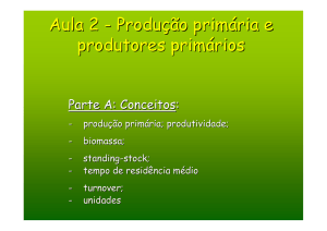 Aula 2 - Produção primária e produtores primários