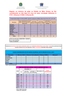 Seguem os números da gripe no Estado do Mato Grosso do Sul