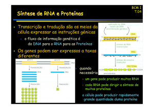 Síntese de RNA e Proteínas