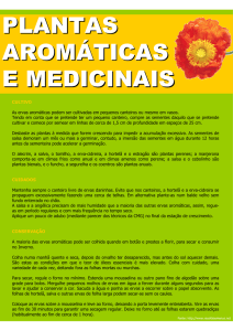 Aromaticas medicinais