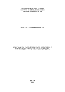 TCC-Priscila Santana - Faculdade de Biomedicina