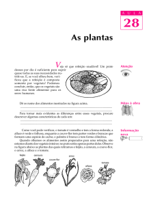 28. As plantas - Passei.com.br