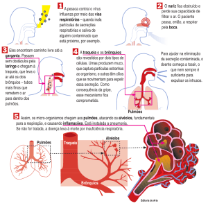 Assim, os micro-organismos chegam aos pulmões
