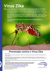 Prevenção contra o Vírus Zika