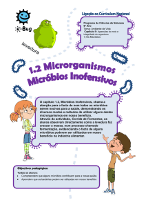 O capítulo 1.2, Micróbios Inofensivos, chama a atenção para - e-Bug