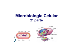 6_Microbiologia celular_2 parte