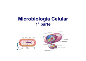 5_Microbiologia celular_1 parte