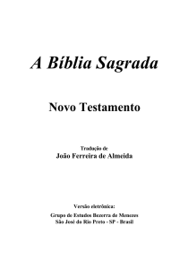 A Bíblia Sagrada Novo Testamento