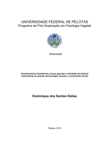 Dominique dos Santos Delias - Universidade Federal de Pelotas