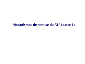 Mecanismos de síntese de ATP (parte 1)