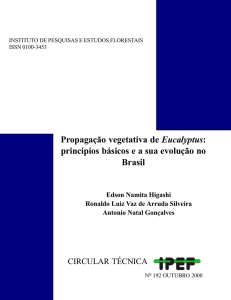 Propagação vegetativa de Eucalyptus: princípios básicos e a sua