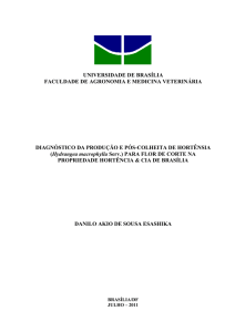 universidade de brasília faculdade de agronomia e - BDM