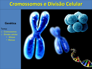 Cromossomos e Divisão Celular