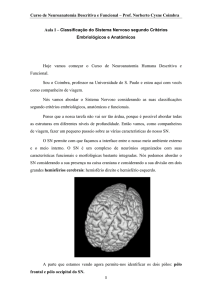 Curso de Neuroanatomia Descritiva e Funcional – Prof. Norberto