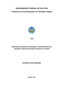 Caroline Leivas Moraes - Universidade Federal de Pelotas