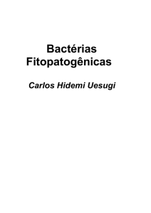 Bactérias Fitopatogênicas