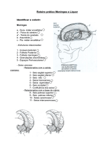 Meninges e L&iacute;quor