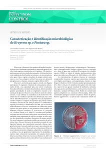 Caracterização e identificação microbiológica de Kruyvera sp. e