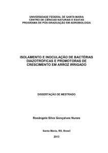 isolamento e inoculação de bactérias diazotróficas e