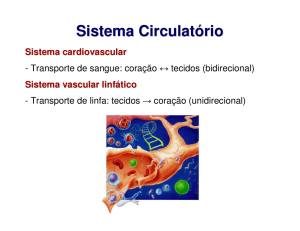 Aula Sistema Circulatório