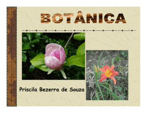 Botânica 2 - satuf.net