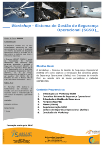 ___ Workshop - Sistema de Gestão de Segurança Operacional