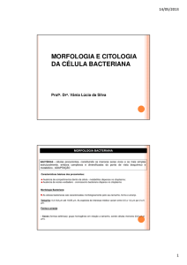 Morfologia e Citologia da célula bacteriana