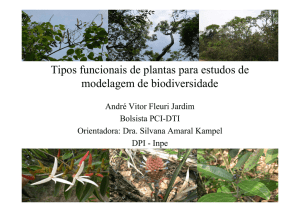 Tipos funcionais de plantas para estudos de modelagem de