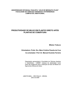 produtividade de milho em plantio direto após plantas de cobertura