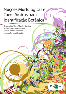 Noções Morfológicas e Taxonômicas para Identificação Botânica