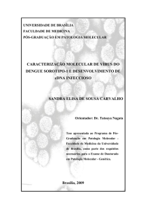 CARACTERIZAÇÃO MOLECULAR DE VÍRUS DO DENGUE