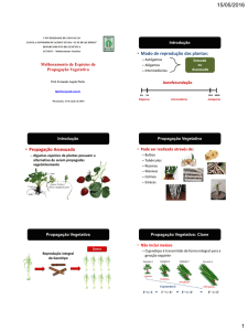 Melhoramento de espécies de propagação vegetativa: tipos de