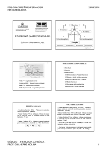 Fisiologia (6 slides)