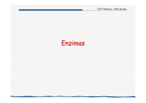 Enzimas - Bizuando