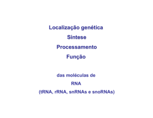 Localização genética Síntese Processamento Função