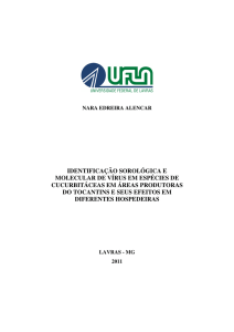 identificação sorológica e molecular de vírus em espécies