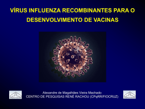 vírus influenza recombinantes para o desenvolvimento de vacinas