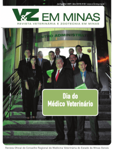 Dia do Médico Veterinário - CRMV-MG