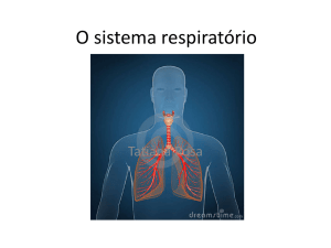 O sistema respiratório