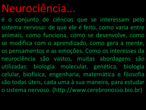 Mem&oacute;ria