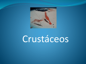 Crustáceos - WordPress.com