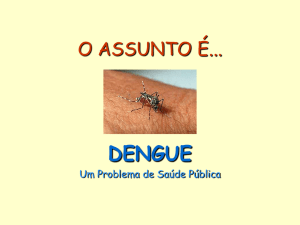 dengue - Educacional