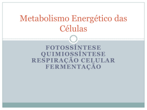 Metabolismo Energético das Células