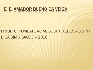 ee amador bueno da veiga projeto:combate ao mosquito aedes