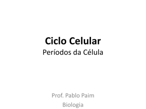 Ciclo Celular - Interfase, Mitose e Meiose